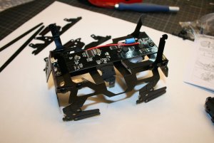 IMG_1765.JPG