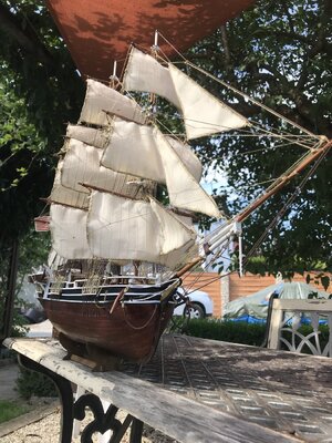 EBA21865-0968-45E8-A81A-8616101FFAEF.jpeg EBA21865-0968-45E8-A81A-8616101FFAEF.jpeg