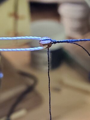 20210731_114855.jpg