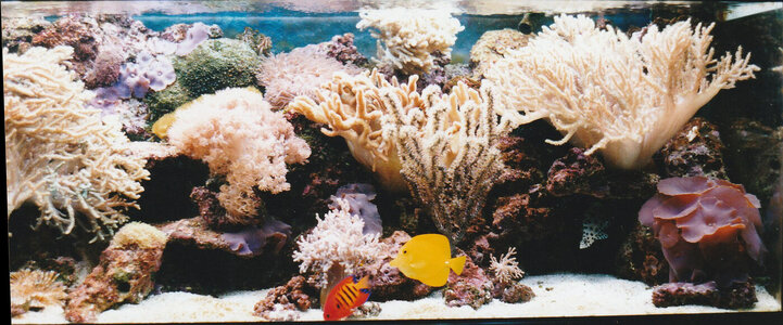 aquarium.jpg