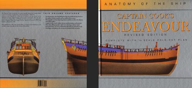 Book cover - Endeavor.jpg