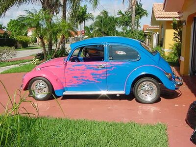 JNbug137.jpg