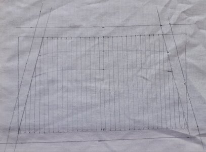 20210724_111421.jpg