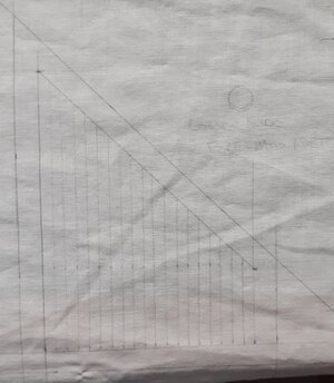 20210730_145155.jpg