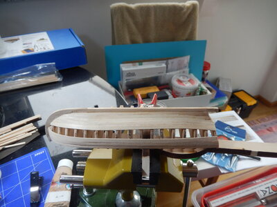 DSCN8081.JPG