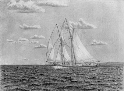 bluenose.jpg