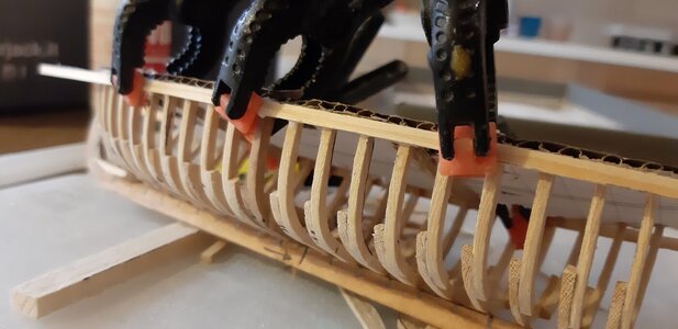 20201202_091009.jpg