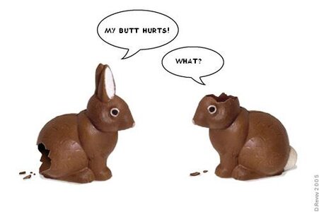 Chocolate Bunnies.jpg