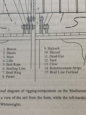 Rigging Components Annotations.jpg