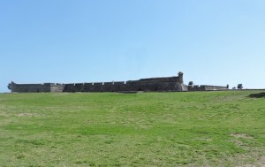 DS5595.jpg