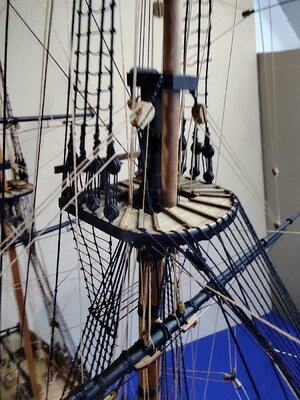 IMG_20211101_134349[1].jpg