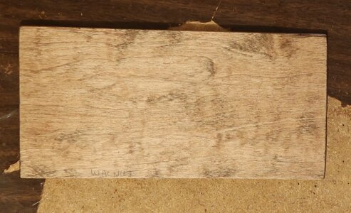 walnut.JPG