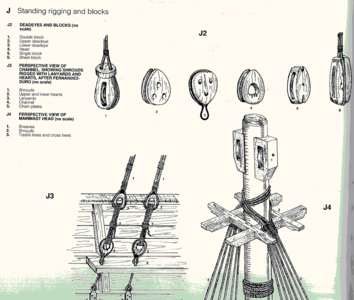 image.png.909f1ef37e0cab8111f81cb8ea88672a.png