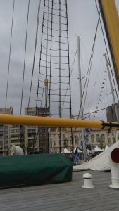 IMG_20180510_151841.jpg