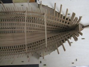 56.JPG