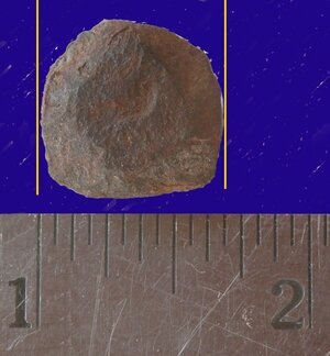 1421683575_105_FT19718_actual_spike_head_.jpg