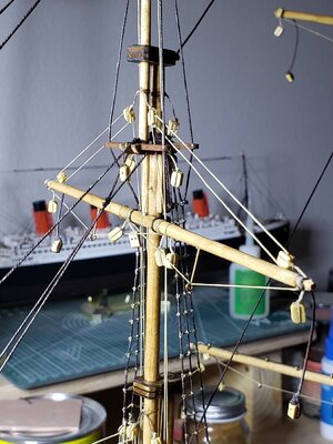 20210303_214106.jpg