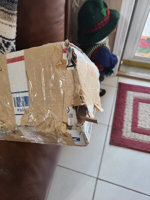 20211222_162603.jpg