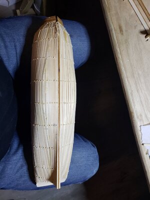 20210325_074214.jpg