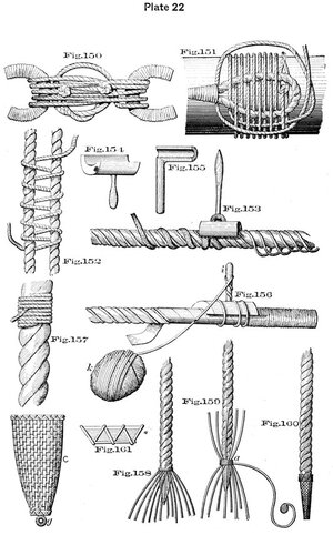 plate22 - Sconosciuto.jpg