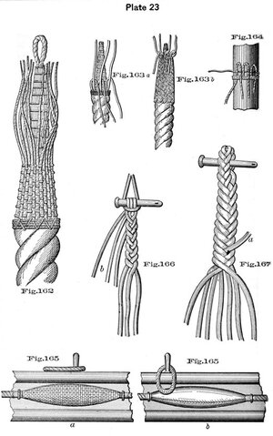 plate23 - Sconosciuto.jpg