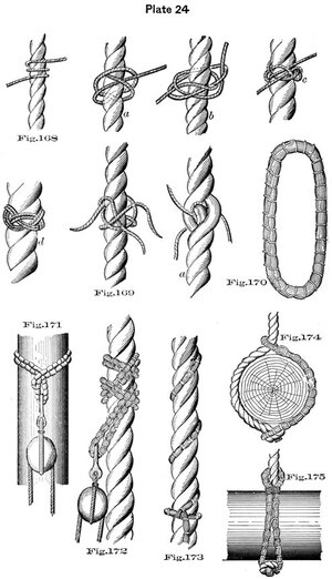 plate24 - Sconosciuto.jpg