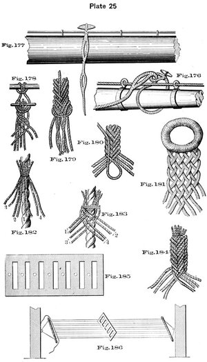 plate25 - Sconosciuto.jpg