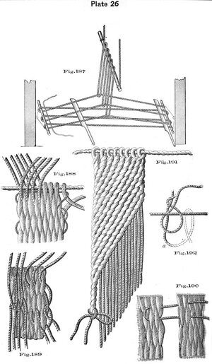 plate26 - Sconosciuto.jpg