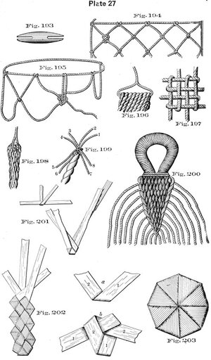 plate27 - Sconosciuto.jpg