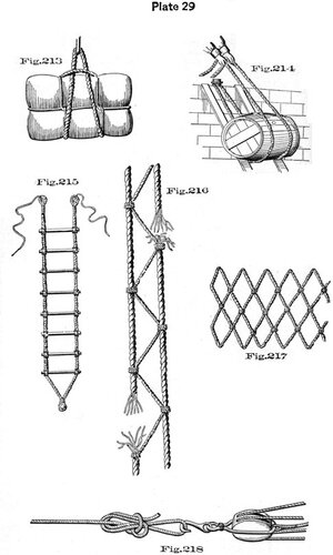 plate29 - Sconosciuto.jpg