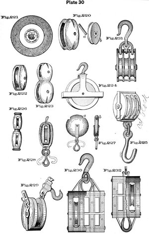 plate30 - Sconosciuto.jpg