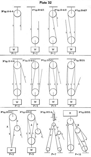 plate32 - Sconosciuto.jpg