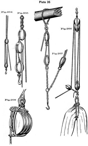 plate35 - Sconosciuto.jpg