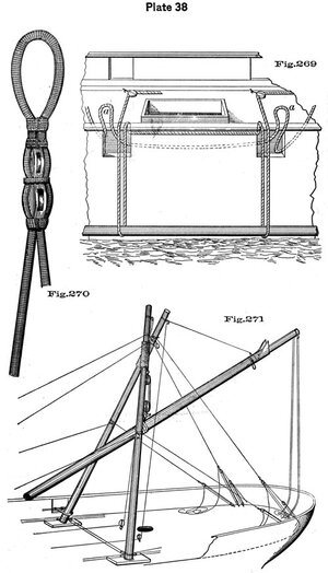 plate38 - Sconosciuto.jpg