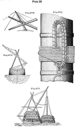 plate39 - Sconosciuto.jpg