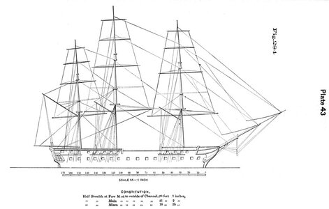 plate43 - Sconosciuto.jpg