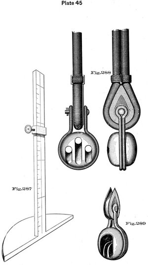plate45 - Sconosciuto.jpg