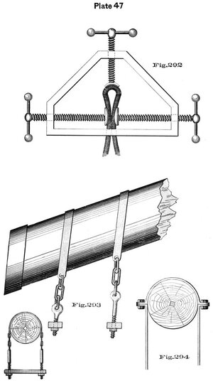 plate47 - Sconosciuto.jpg