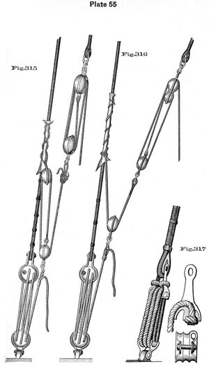 plate55 - Sconosciuto.jpg