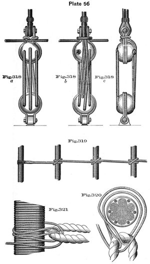 plate56 - Sconosciuto.jpg