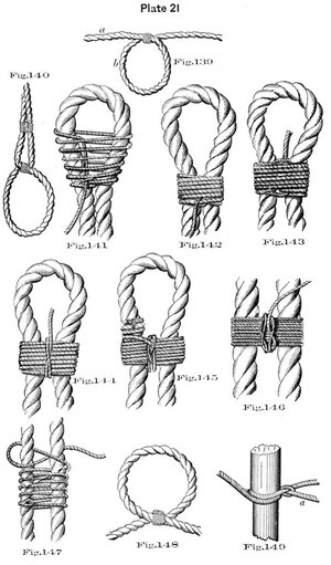 plate21 - Sconosciuto.jpg