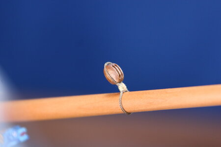 IMG_7787.JPG