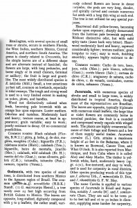 page 2.jpg