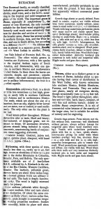 page 4.jpg