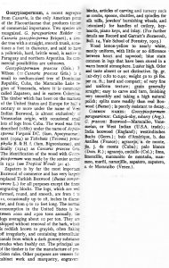 page 6.jpg