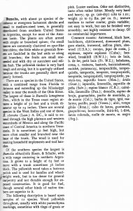 page 7.jpg