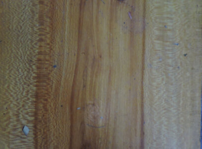 DSCN0367.JPG