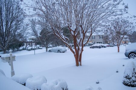 Snow 22 Jan 03.jpg