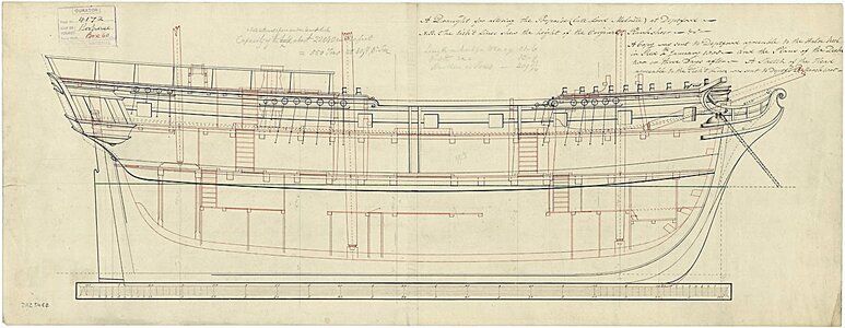 porpoise (2).jpg