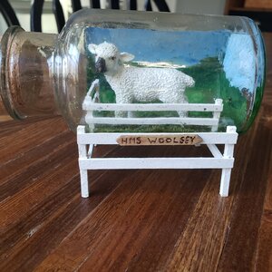 Sheep in a bottle.jpg